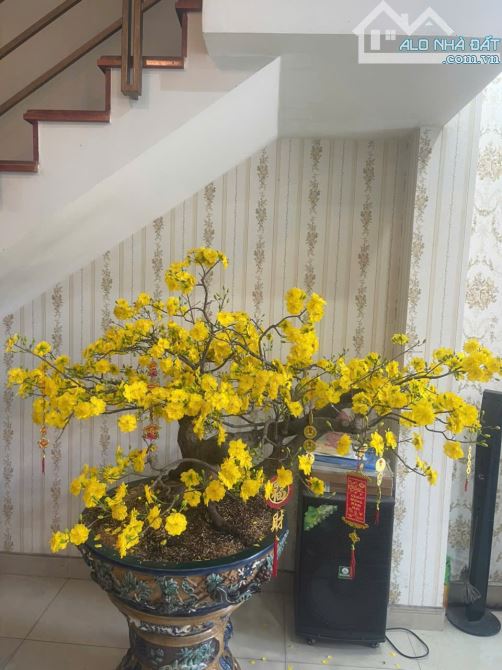 Nhà phố xinh rẻ 5 x 14m 1 trệt 3 lầu Tạ Quang Bửu Q8 TP.HCM - 4
