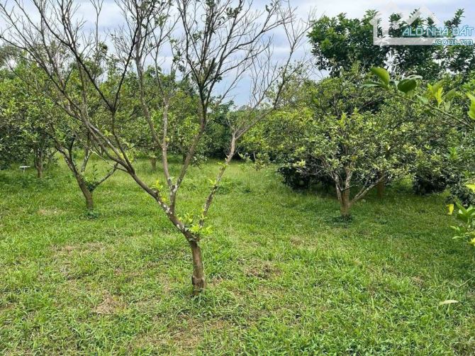 Bán lô đất để làm nghỉ dưỡng, sẵn sổ hồng, giá rẻ nhất thị trường vị trí đẹp, chủ cần gấp - 4