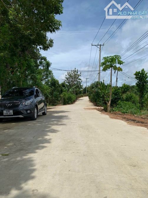 Lô đất đẹp 184m2 thuộc xã Phú Tân, Định Quán Cách nhựa Hương Lộ 120 chỉ 500m. - 4