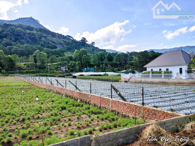 Cần bán 6.900m2 đất Vùng Ven Đà Lạt có sẵn 400m2 thổ cư trên sổ hồng,bán chỉ 13 tỷ TL - 4
