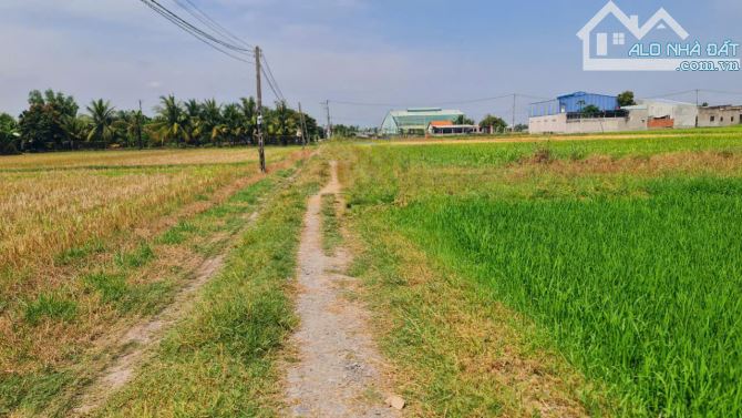 Bán đất 12.4 x 55m (682m2) ấp Bình Lợi, xã Hòa Khánh Đông, Đức Hòa, Long An giá 3.6 tỷ - 7