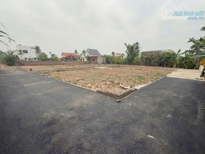 Bán đất Kính Trực - Tân Phong - Kiến Thụy - Hải Phòng - 5