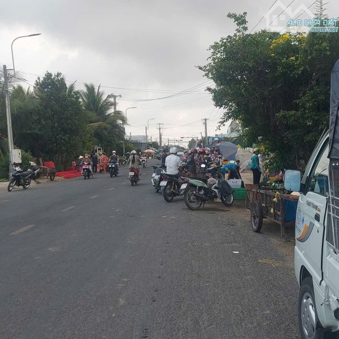 30×93 ( 2657m2 ) lúa mặt tiền 832 được lên thổ Bình Trinh Đông Tân trụ 6 tỷ - 5