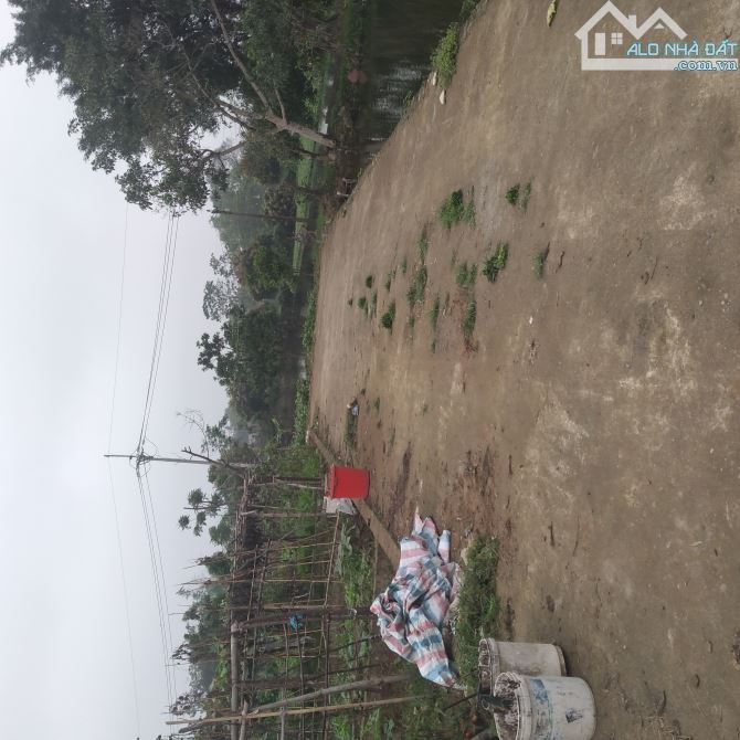 XÓM MÍT CỔ LOA-VIEW HỒ CỰC THOÁNG-ĐÂT FULL THỔ CƯ - 5
