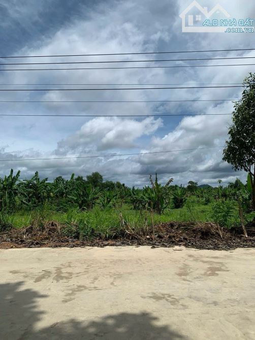 Lô đất đẹp 184m2 thuộc xã Phú Tân, Định Quán Cách nhựa Hương Lộ 120 chỉ 500m. - 5