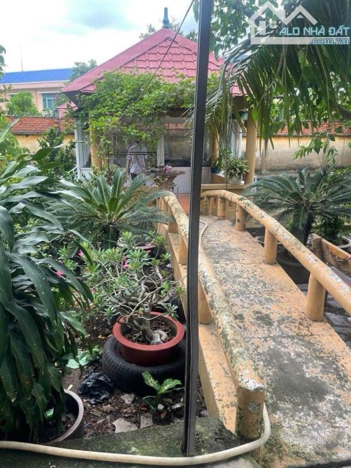 ✅ BÁN ĐẤT MẶT TIỀN CỰC HIẾM –MẶT TIỀN PHẠM THẾ HIỂN, P.7, Q.8 – HƠN 1.400M2 – CHỈ 51TR/M2 - 5