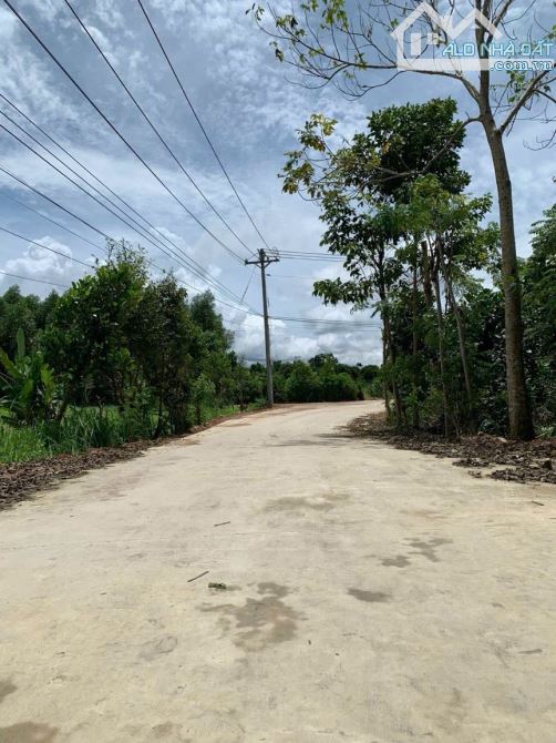 Lô đất đẹp 184m2 thuộc xã Phú Tân, Định Quán Cách nhựa Hương Lộ 120 chỉ 500m. - 6