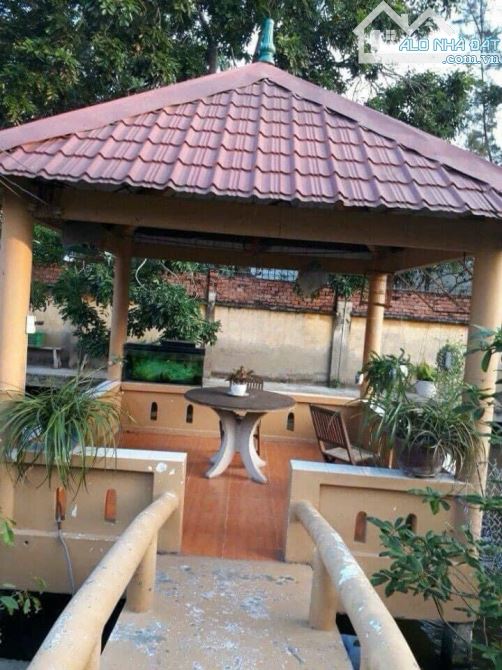 ✅ BÁN ĐẤT MẶT TIỀN CỰC HIẾM –MẶT TIỀN PHẠM THẾ HIỂN, P.7, Q.8 – HƠN 1.400M2 – CHỈ 51TR/M2 - 6