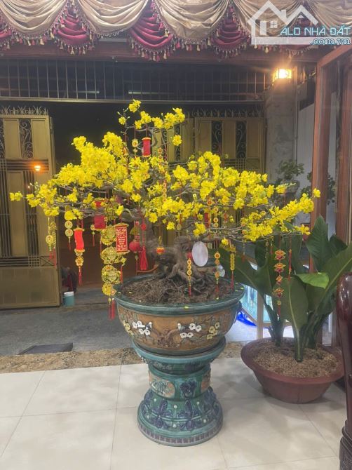 Nhà phố xinh rẻ 5 x 14m 1 trệt 3 lầu Tạ Quang Bửu Q8 TP.HCM - 7