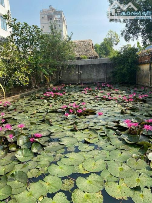 ✅ BÁN ĐẤT MẶT TIỀN CỰC HIẾM –MẶT TIỀN PHẠM THẾ HIỂN, P.7, Q.8 – HƠN 1.400M2 – CHỈ 51TR/M2 - 7