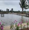 Bán ĐấtTân Phong, Kiến Thụy, Hải Phòng .15,5 tỷ, Diện Tích 7000m2.ngang 100m2.Đường 29m