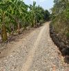 bán lô đất xào 1081m2 cach đường xuống cao tóc khoảng 1,5km,giá cho nhà đầu tư sinh lơi