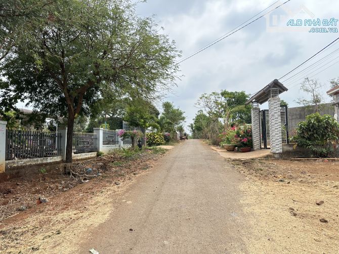 CẦN BÁN ĐẤT EBAR - siêu dài 9*62 chỉ 1ty050