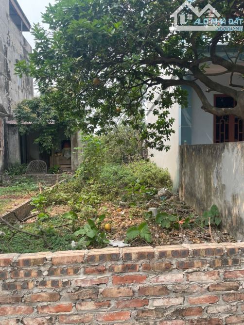 Bán 68m2 đất Liên Ninh - Thanh Trì, ô tô vào đất, Giá siêu đầu tư