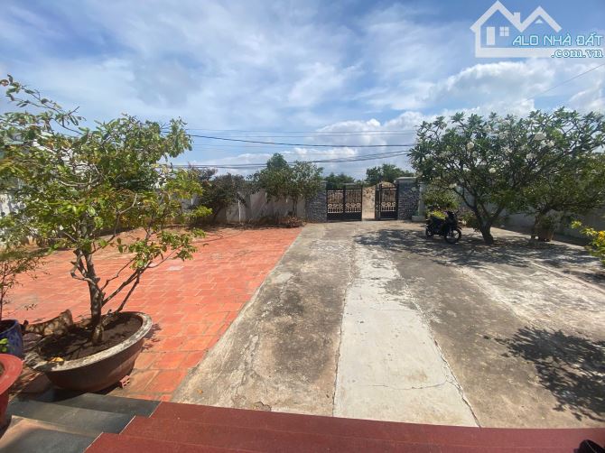 BÁN NHÀ VƯỜN DIỆN TÍCH HƠN 1000M2 ( CÓ 250M2 THỔ CƯ)_ VỊ TRÍ TIỀM NĂNG PHƯỜNG 12
