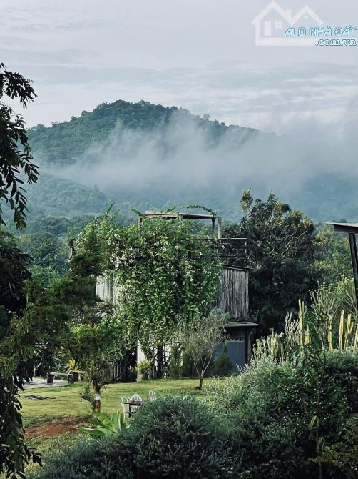 Homestay nguồn thu ổn định ở BMT