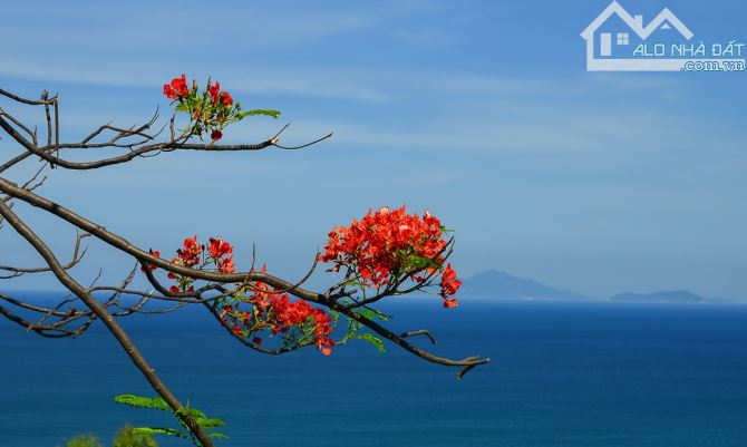 VIEW BIỂN! BÁN TÒA CĂN HỘ 5 TẦNG 100M² - 13,5 TỶ - MT TRƯỜNG SA - Q. NGŨ HÀNH SƠN