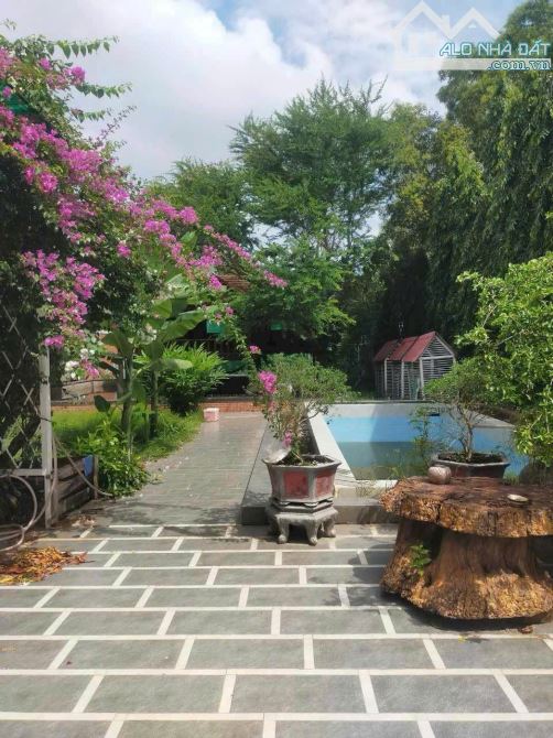 BÁN LÔ ĐẤT 1233m2 NGANG 18m ĐƯỜNG NGUYỄN GIA THIỀU PHƯỜNG 12 TP VŨNG TÀU