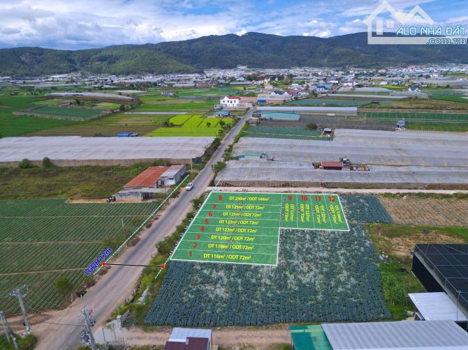 👊 Bán Đất Đơn Dương: 5x25m giá chỉ 799tr. - 1