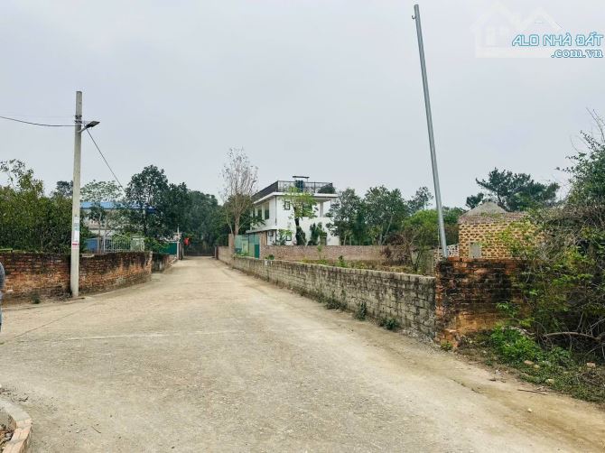 hàng f0 nóng hổi vừa đi vừa thổi ah - 1