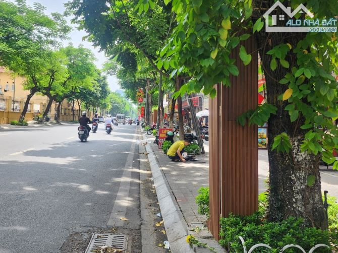 MẶT PHỐ NGUYỄN THÁI HỌC, CẠNH LĂNG BÁC, VỈA HÈ 10M, KINH DOANH CAO CẤP, 40m MT 4.2m 24 Tỷ - 1