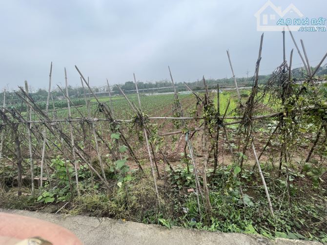 SiÊU HIẾM - BÁN ĐẤT TRÂU QUỲ - Ford TRÁNH- NHỉNH 2tỷ - 1220m2 - 1