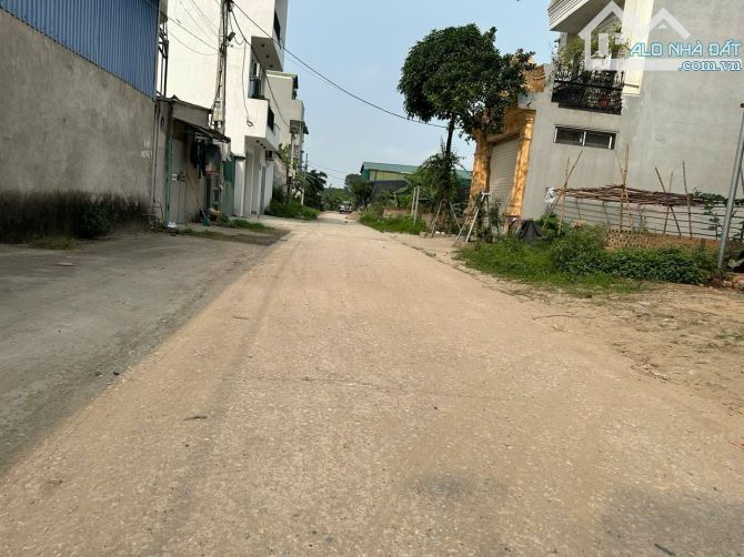 Bán gấp đất kinh doanh làn 2 khu biệt thự Nguyên Khê, 114m2, MT 5m, giá 95 tr/m2 - 1