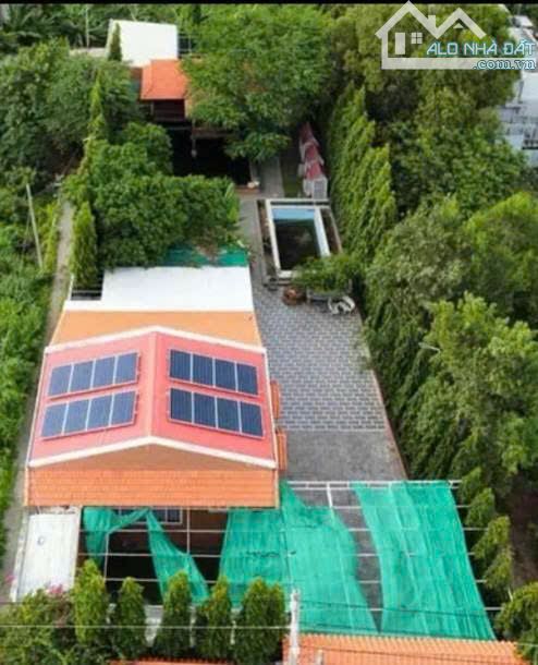 BÁN LÔ ĐẤT 1233m2 NGANG 18m ĐƯỜNG NGUYỄN GIA THIỀU PHƯỜNG 12 TP VŨNG TÀU - 1
