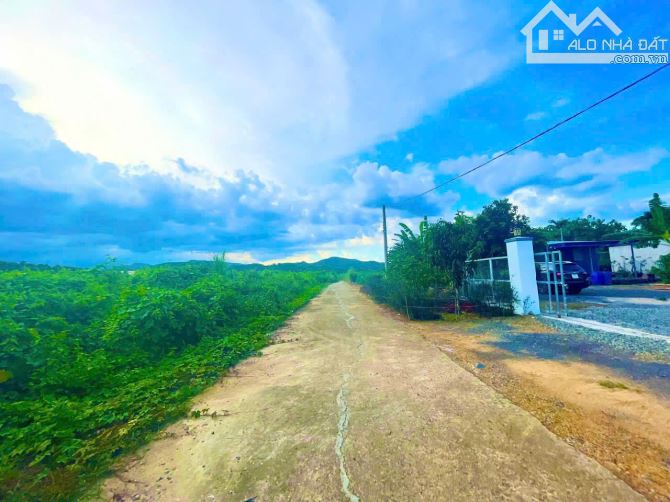 - Bán 3 lô đất sông cầu - khánh vĩnh full thổ cư - 1