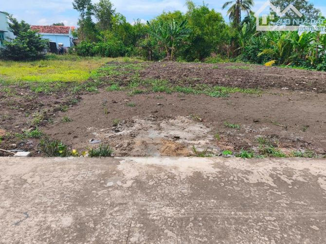 Bán gấp lô đất đường Nguyễn Thị Bầy Mỹ Lộc Cần Giuộc Long An 121m2 full thổ cư giá rẻ - 1