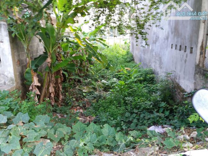 Bán đất - Xã Lô Giang,đầu tư,giữ tiền,Vị trí đẹp,ô tô đỗ cửa,DT: 100m,Giá:1,45 tỉ - 1