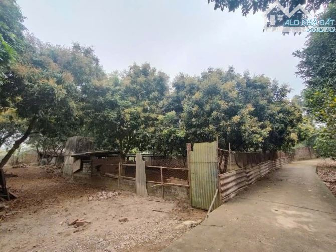 BÁN LÔ ĐẤT ĐẸP  XÃ CƯ YÊN- LƯƠNG SƠN, HÒA BÌNH 9280 M2 - GIÁ 26 TỶ - 1