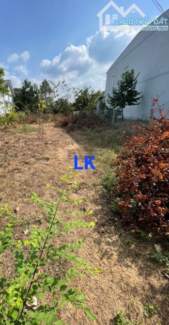 🔰 Bán nền: 106m² (4.9m x 22m, thổ 100%) 🔰 Đường Nguyễn Minh Trí, TT Mỹ Thọ, H Cao Lãnh - 2