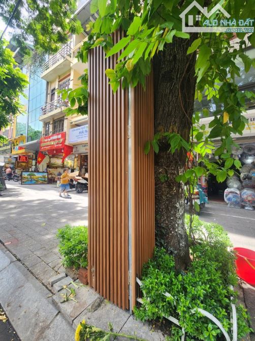 MẶT PHỐ NGUYỄN THÁI HỌC, CẠNH LĂNG BÁC, VỈA HÈ 10M, KINH DOANH CAO CẤP, 40m MT 4.2m 24 Tỷ - 2
