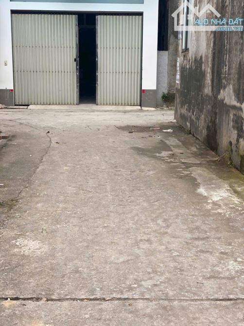 Đón sóng Vin về Thanh Oai, chính chủ bán lô đất tại Thanh Cao, Thanh Oai - 2