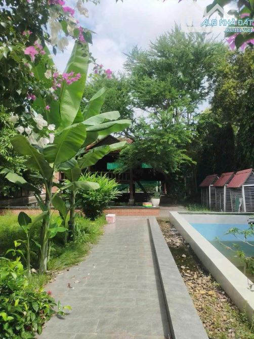 BÁN LÔ ĐẤT 1233m2 NGANG 18m ĐƯỜNG NGUYỄN GIA THIỀU PHƯỜNG 12 TP VŨNG TÀU - 2