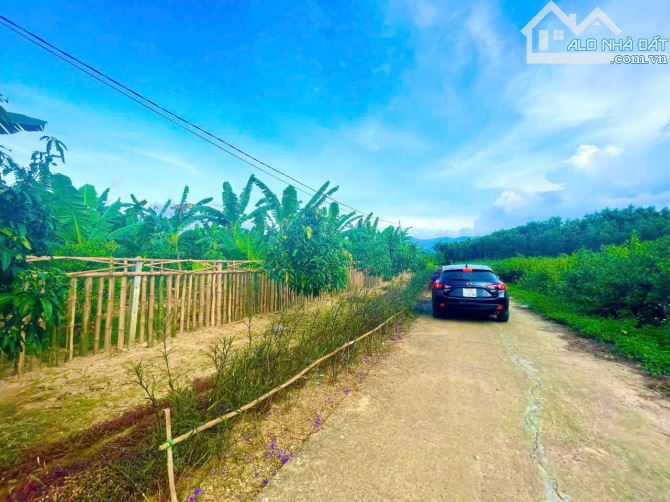 - Bán 3 lô đất sông cầu - khánh vĩnh full thổ cư - 2