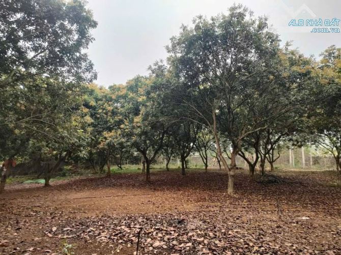 BÁN LÔ ĐẤT ĐẸP  XÃ CƯ YÊN- LƯƠNG SƠN, HÒA BÌNH 9280 M2 - GIÁ 26 TỶ - 2