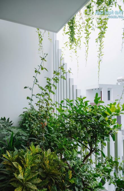 Ms Linh-Bán nhà khu phân lô sau quận Ủy Hồng Bàng, Sở Dầu vị trí đẹp giá siêu rẻ - 3