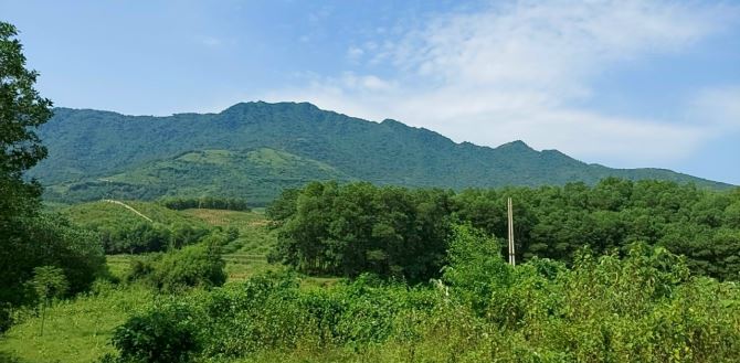 Cần bán 4223m2 nghỉ dưỡng,đầu tư có suối chảy tại Tiến Xuân Thạch Thất cách tỉnh lộ 300m - 3