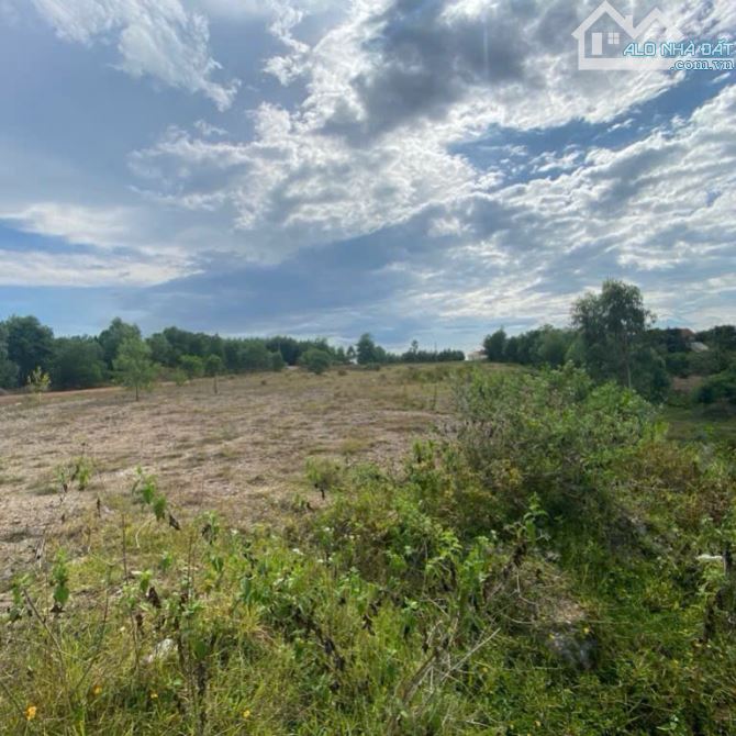 10100m2(1.1 ha) đất mặt tiền Dạ Lê, Thuỷ Phương, Hương Thuỷ, Huế chỉ 27 tỉ 800 triệu - 3