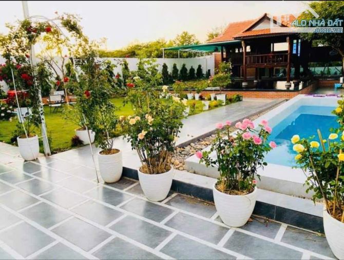 BÁN LÔ ĐẤT 1233m2 NGANG 18m ĐƯỜNG NGUYỄN GIA THIỀU PHƯỜNG 12 TP VŨNG TÀU - 3
