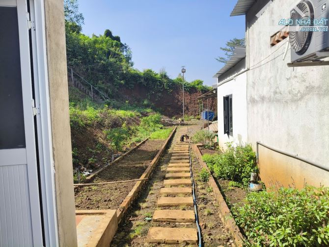 Bán 4000m2 đất có sẵn nhà xã lang minh, huyện xuân lộc tỉnh đồng nai - 4