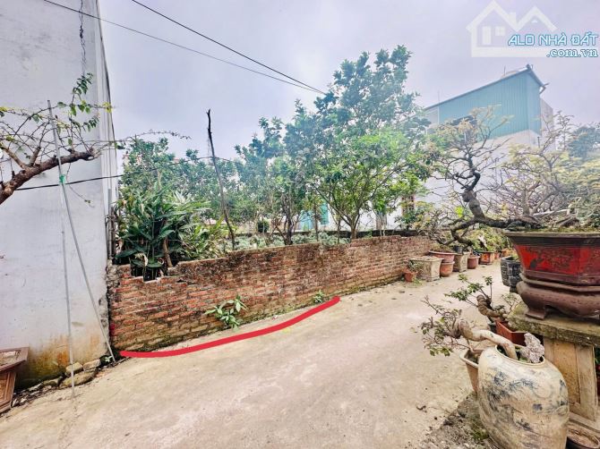 🌹CHÍNH CHỦ GỬI BÁN LÔ ĐẸP  🌹Diện tích: 50m2  MT= MH= 5,5m  🌹Nằm tại Vĩnh tuy Miền đất H - 4