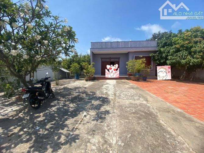 BÁN NHÀ VƯỜN DIỆN TÍCH HƠN 1000M2 ( CÓ 250M2 THỔ CƯ)_ VỊ TRÍ TIỀM NĂNG PHƯỜNG 12 - 3