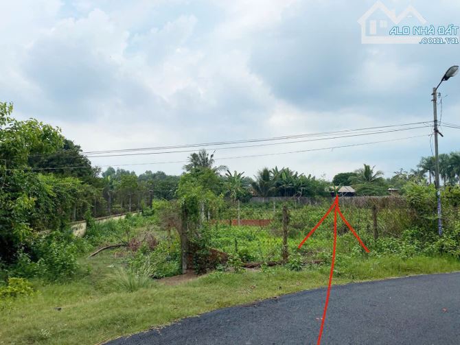 Bán đất mặt tiền đường 566 (cách cầu vượt Củ Chi 2km), xã Trung Lập Hạ Củ Chi, 6x17m, 102m - 4