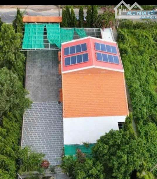 BÁN LÔ ĐẤT 1233m2 NGANG 18m ĐƯỜNG NGUYỄN GIA THIỀU PHƯỜNG 12 TP VŨNG TÀU - 4