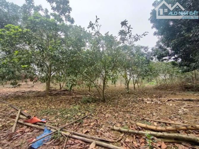 BÁN LÔ ĐẤT ĐẸP  XÃ CƯ YÊN- LƯƠNG SƠN, HÒA BÌNH 9280 M2 - GIÁ 26 TỶ - 4
