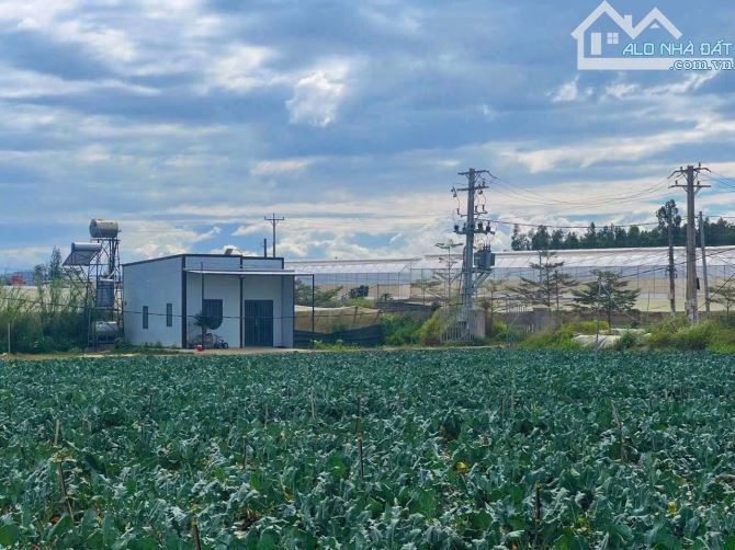👊 Bán Đất Đơn Dương: 5x25m giá chỉ 799tr. - 5