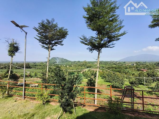 Bán 4000m2 đất có sẵn nhà xã lang minh, huyện xuân lộc tỉnh đồng nai - 6